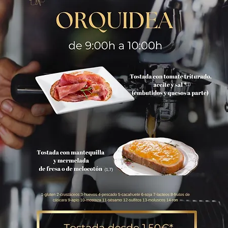 Otel Rural Orquidea *